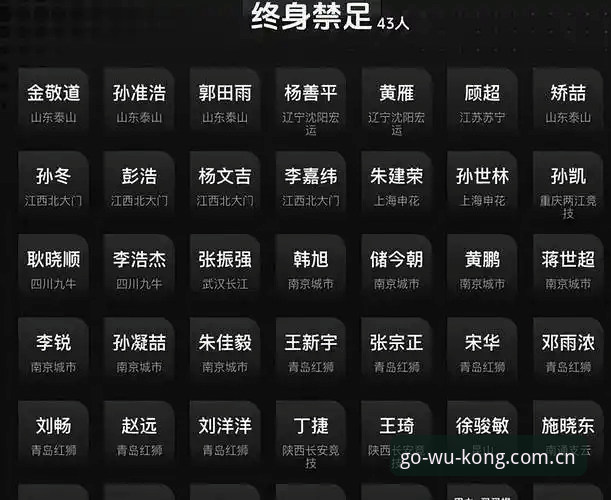 悟空体育玩法 足协第三批禁足名单完整解读:从终身禁赛到行业整顿的实用指南